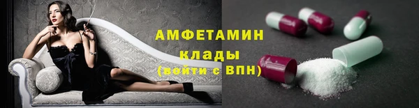 сатива Белокуриха