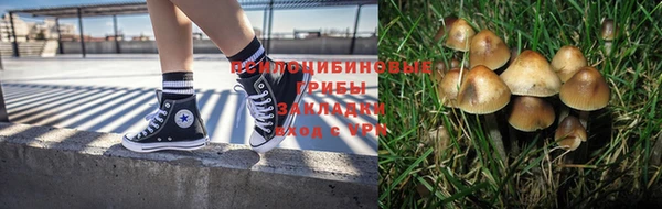 Альфа ПВП Беломорск